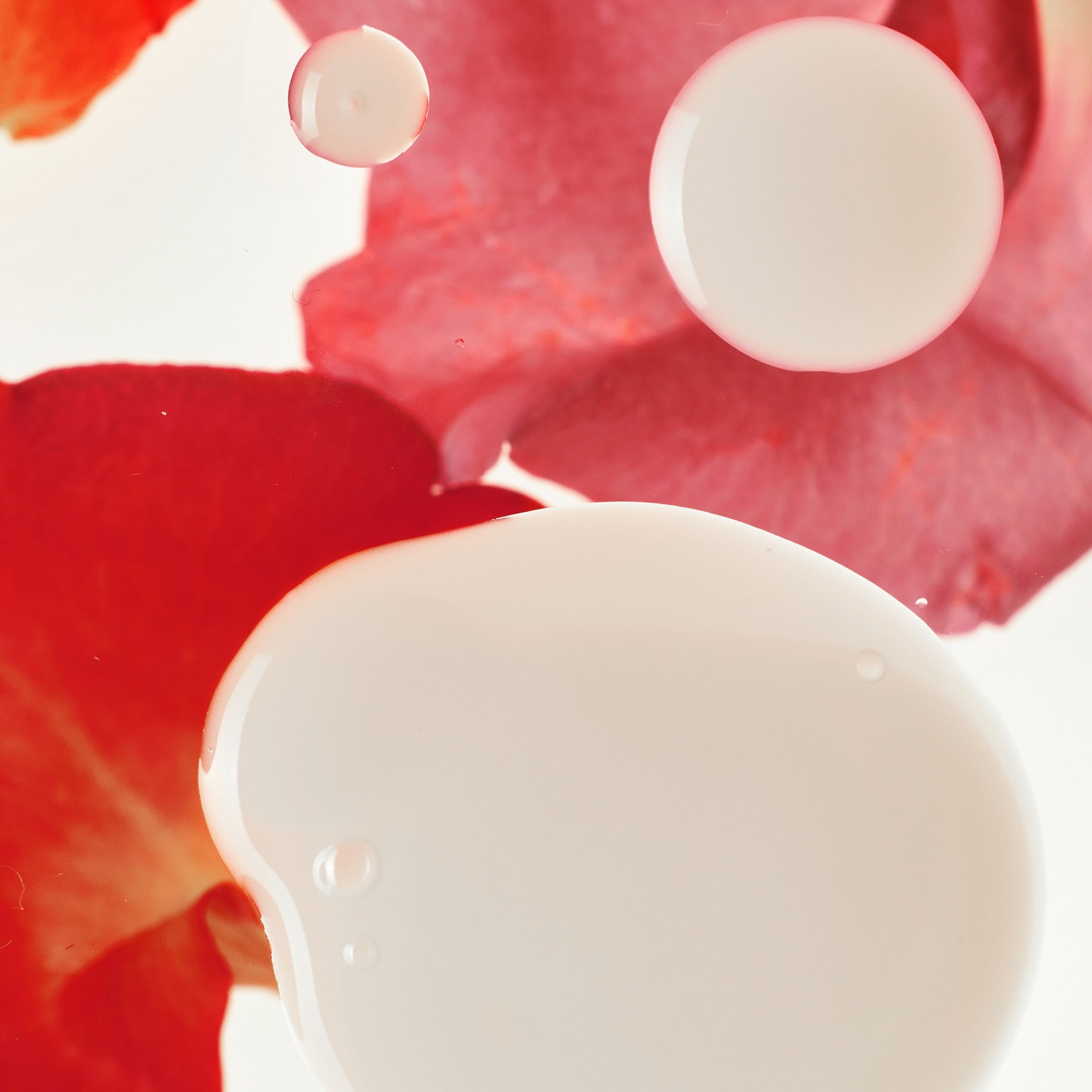 [haruharuwonder] Rose PDRN Soothing Serum 30ml